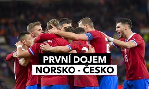 Jiná repre pod Haškem? Náznaky tu jsou. Klíčový post vedle Součka, Holeš zvládl Haalanda