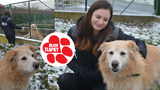 Devět let v útulkovém kotci kvůli nálepce „agresivní“. Foxy je přitom mazel, zaslouží si domov