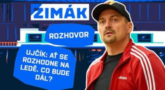 Šerif má v play off víc práce. Jak se rodí tresty? Ujčík ví, co po sezoně