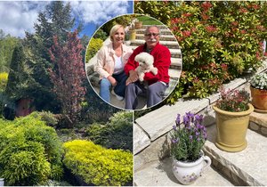 Zahrada Hanky Kousalové a Pavla Zedníčka: 17 odstínů zelené, levandulové pole a úžasné magnolie