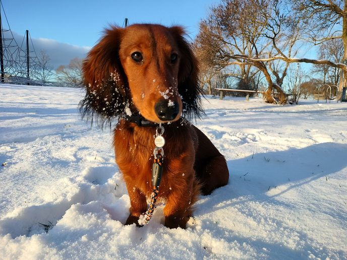 Chlupatý průvodce světem úžasu Chlupatý průvodce světem úžasu