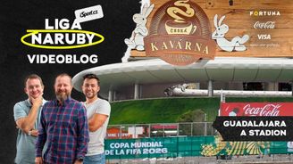 Milá i drsná Guadalajara. Na co si dát pozor při příletu? Reakce redaktorů po přesunu do Mexika Milá i drsná Guadalajara. Na co si dát pozor při příletu? Reakce redaktorů po přesunu do Mexika