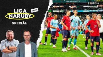 Expert Ruman o Koubkovi: Byl to chaos, Krejčímu jsem uvěřil Expert Ruman o Koubkovi: Byl to chaos, Krejčímu jsem uvěřil