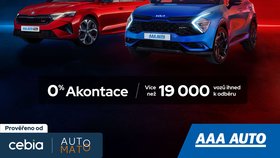 Black Friday v AAA Auto