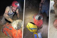 Dramatická záchrana fenky z jeskyně: Majiteli se mazlíček ztratil před dvěma měsíci!
