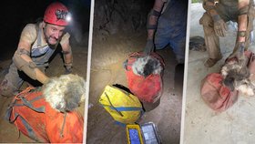 Dramatická záchrana fenky z jeskyně: Majiteli se mazlíček ztratil před dvěma měsíci!