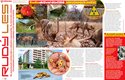 Zvířata ze zapovězeného rudého lesa u jaderné elektrárny v Černobylu nejsou žádní mutanti. Více v časopisu ABC