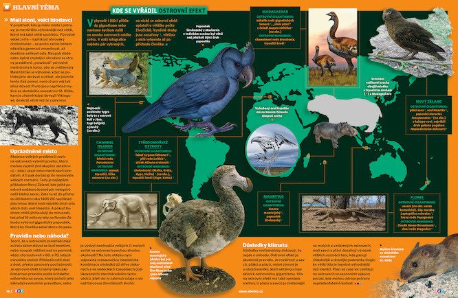 Ostrovní pravidlo obecně říká, že živočišné druhy žijící na izolovaných ostrovech dorůstají buď nezvykle velkých, nebo naopak nezvykle malých rozměrů. Víc prozradí časopis ABC č. 12/2021