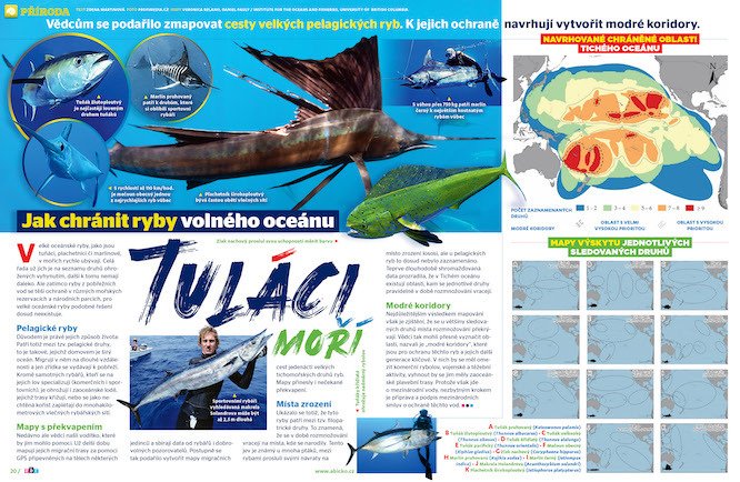 Jak chránit ryby volného oceánu, prozrazuje časopis ABC
