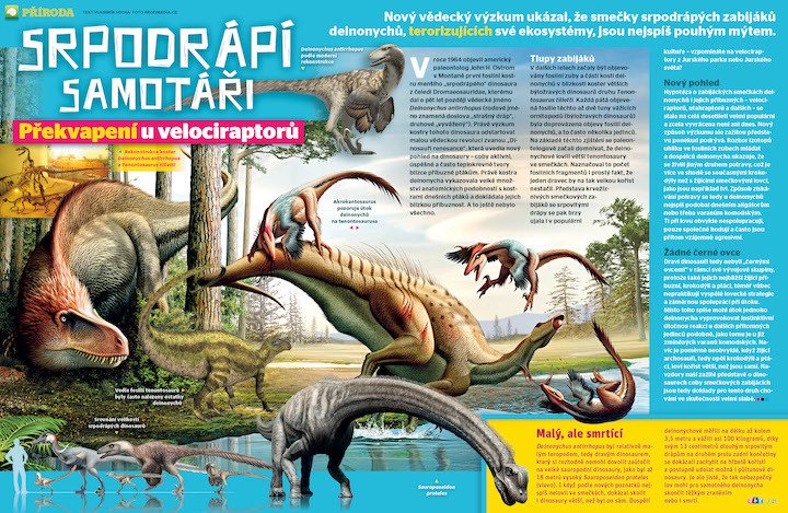 Nový vědecký výzkum ukázal, že smečky srpodrápých dinosauřích zabijáků velociraptor, kteří zabíjeli všechno v okolí, jsoiu asi mýtus. Víc prozradí časopis ABC č. 16/2020