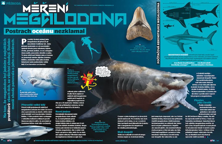 a tom, že megalodon byl jedním z největších predátorů všech dob, se všichni shodují. Jak moc byl opravdu velký zjistíte v časopisu ABC č. 21/2020