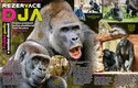 Nové ábíčko představuje nový pavilon goril v pražské zoo