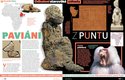 Opice obětované egyptským bohům pomohly rozluštit jednu z velkých archeologických otázek. Více prozradí časopis ABC č. 3/2021
