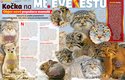 Nový objev: Kočka na Mt. Everestu! Více ABC 