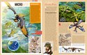 Encyklopedie ABC dinosaurů