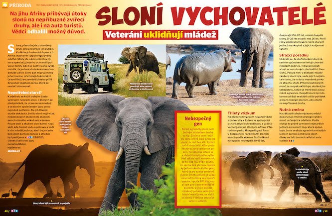 Na jihu Afriky přibývají útoky slonů na nepříbuzné zvířecí druhy, ale i na auta turistů. Vědci odhalili možný důvod. Víc prozradí časopis ABC