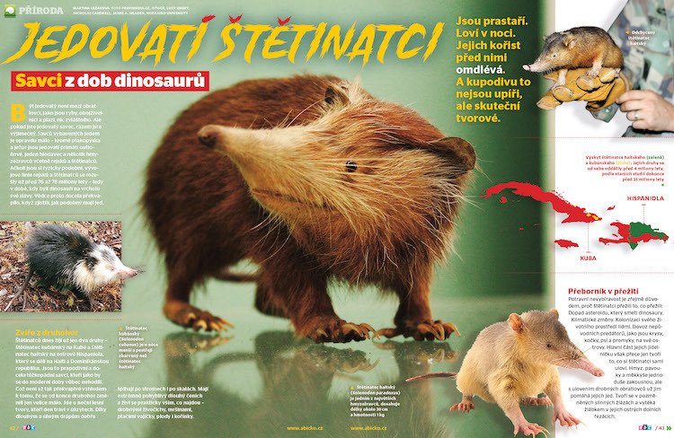 Jsou prastaří. Loví v noci. Jejich kořist před nimi omdlévá. A kupodivu to nejsou upíři, ale skuteční štětinatci. Víc prozradí ABC č. 2/2020