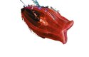 Hlubinná světélkující žebernatka (Ctenophora)