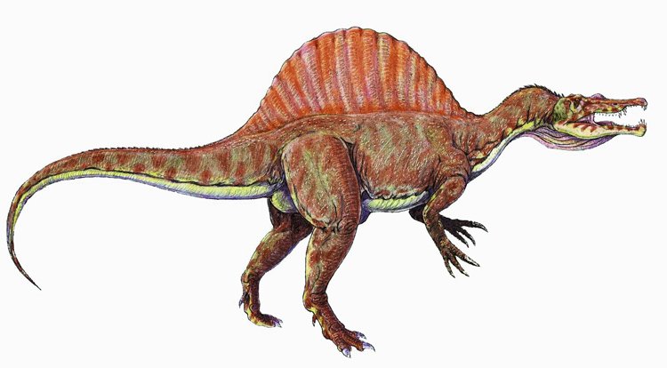 Spinosaurus