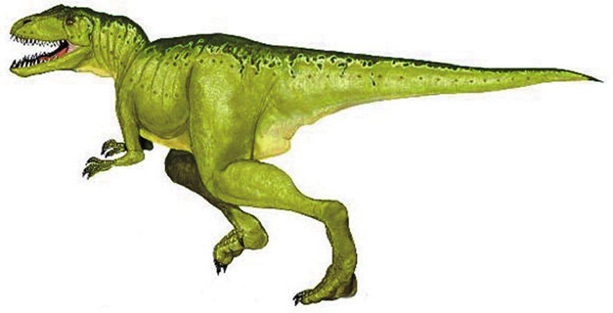 Carcharodontosaurus