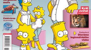 Co bude v ABC č. 11: Simpsonovi slaví čtvrtstoletí