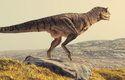 Někteří abelisauridi žili až do samého konce druhohor před 66 miliony lety