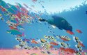 Abzu: Budete v sedmém moři