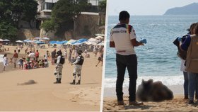 Hrůza na oblíbené pláži: Moře vyplavilo zohavená těla, turisté se vesele bavili dál
