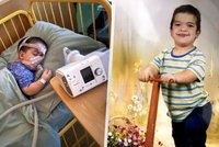 Obrazy od vězeňkyň pomůžou malému Davídkovi: Chlapec trpí vážnou nemocí, projevuje se i trpasličím vzrůstem