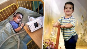 Obrazy od vězeňkyň pomůžou malému Davídkovi: Chlapec trpí vážnou nemocí, projevuje se i trpasličím vzrůstem