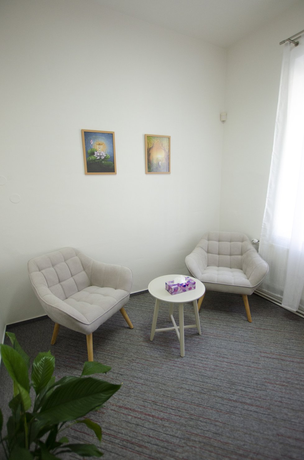 Organizace Acorus díky grantu nadace Sirius otevřela nové terapeutické centrum ve Vratislavově ulici