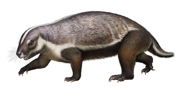 Šílené zvíře: Takového savce z doby dinosaurů vědci ještě neviděli!