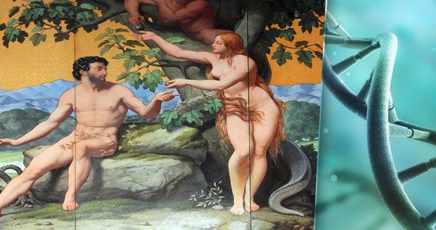 Adam a Eva opravdu existovali. Všichni lidé jsou potomci jednoho páru, tvrdí vědci