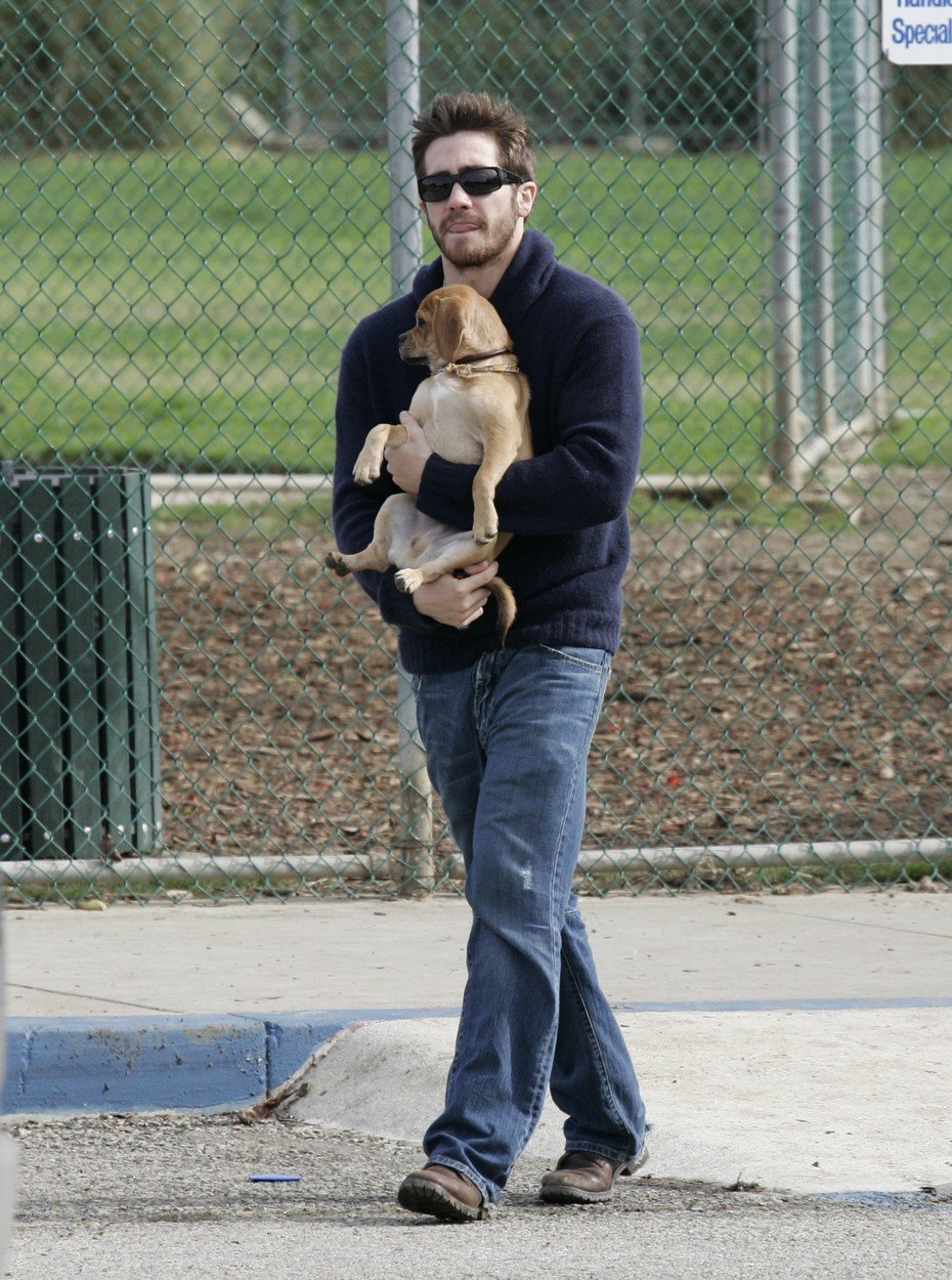 Jake Gyllenhaal má nové štěňátko a nedá ho z ruky.