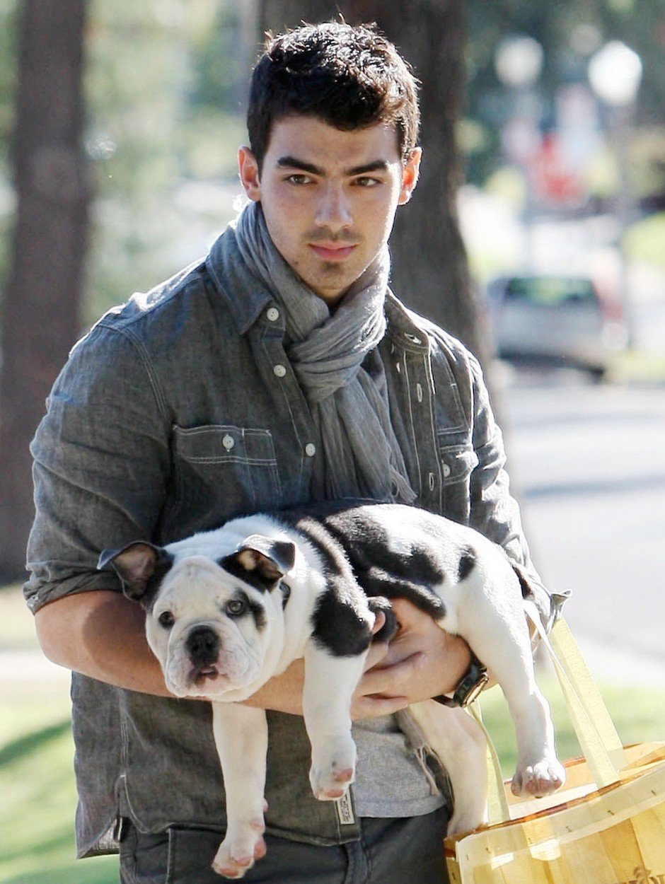 Joe Jonas ze skupiny Jonas Brothers drží v náručí svého vystrašeného psíka.
