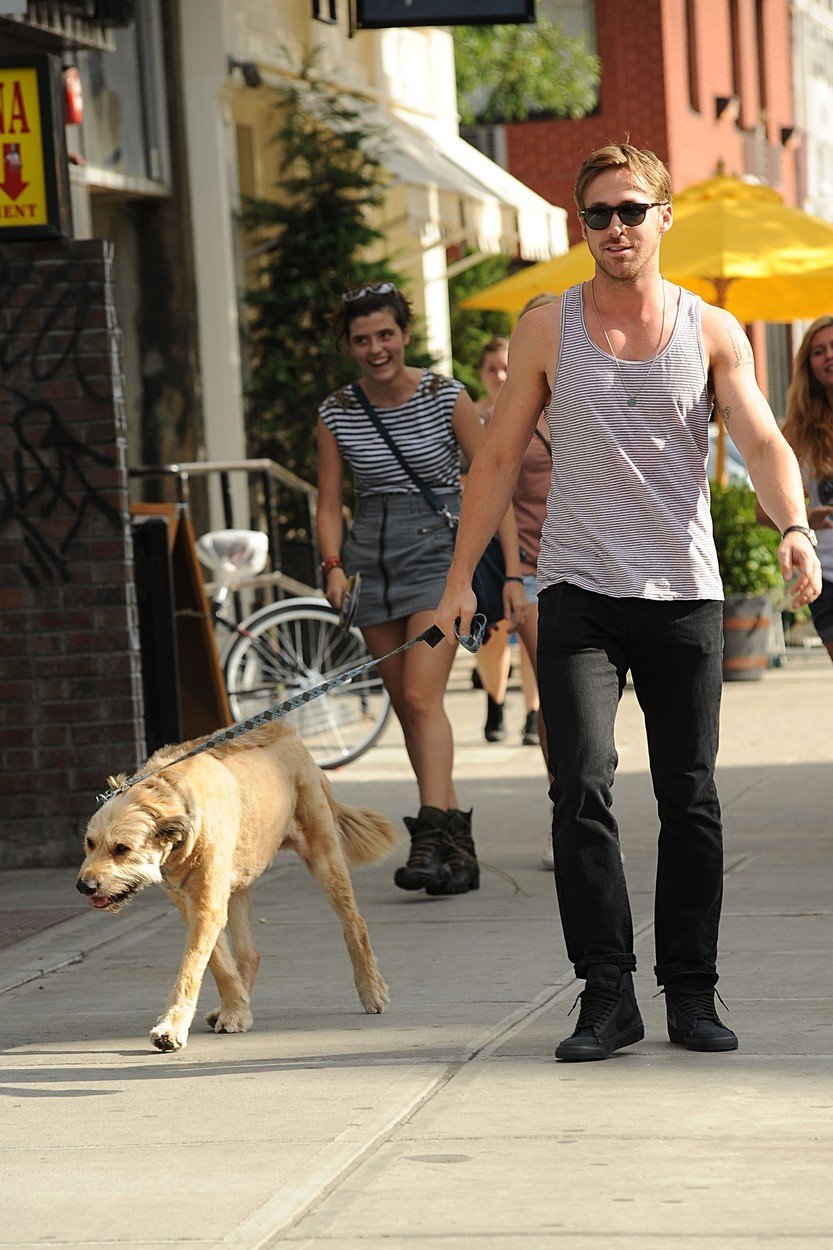 Kanadský herec Ryan Gosling venčí svého psa a přivádí přítomné slečny do rozpaků.