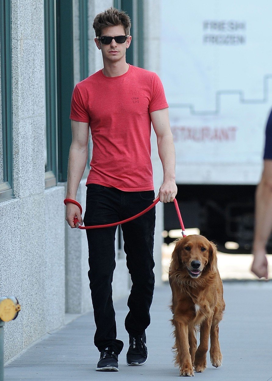 Andrew Garfield a jeho pes jsou extrémně fotogeničtí.