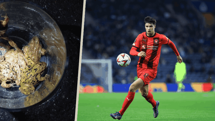 Adam Gabriel riskoval život a skákal pro skokany.