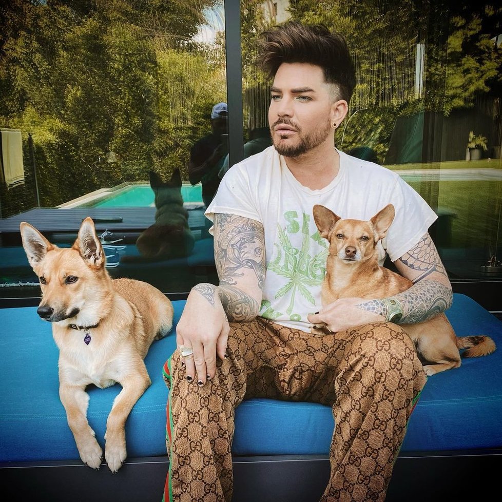 Zpěvák Adam Lambert