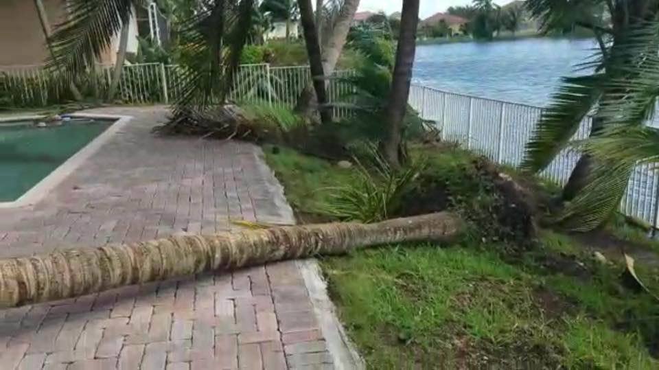 PO HURIKÁNU Adamcových zahrada je úplně zničená... ...Irma vyvrátila palmy i s baly země.