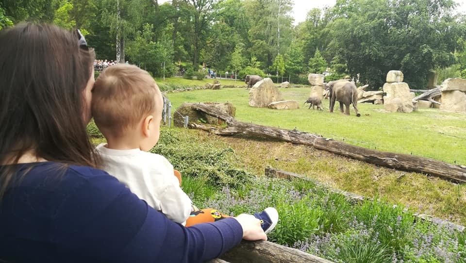 Adámkovi se moc líbilo v zoo.