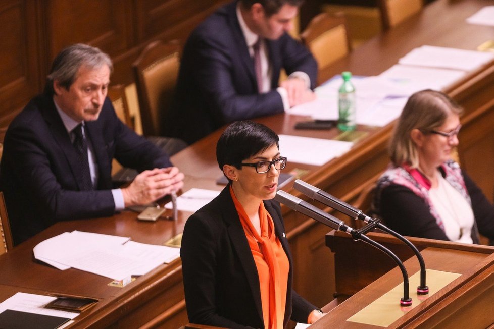 Poslankyně Markéta Pekarová Adamová (TOP 09) promluvila ve sněmovně za přijetí sirotků