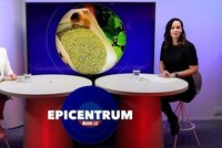 Adiktoložka o dostupnosti kratomu: Jaké jsou hrozby černého trhu?