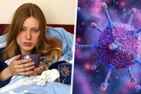 Přibývá případů viru podobného chřipce i covidu: Způsobuje silnou bolest a nemá specifickou léčbu