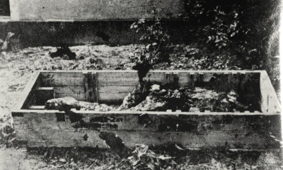 Dřevěná bedna s údajnými ostatky Adolfa Hitlera