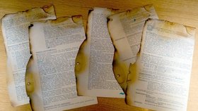 Zločin Hitlera byl utajen, protože většina podobných dokumentů byla ke konci války zničena. I Tyto se někdo pokusil spálit, ale byly zachráněny a skoro 70 let je měl v úschově soukromý sběratel.