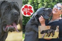 Obříka Thora se zbavili. Ve spolku Dočasky De De dohání, co v minulosti zameškal a vyhlíží domov