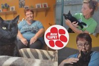 Handicapovaný kocour Luky našel domov díky Blesk tlapkám. Užívá si rodinné pohody, má i kočičího parťáka