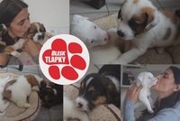 Čtyřdenní štěňata umírala v poli, zachránit se podařilo jen čtyři z nich