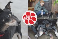 Slepý Kvído (16) přišel o paničku. Příbuzní se ho zbavili, najde ještě domov na dožití?